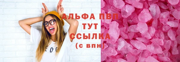спиды Гусев