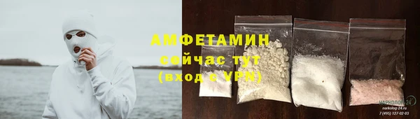 спиды Гусев