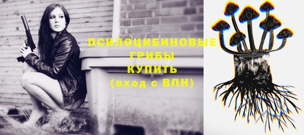 спиды Гусев