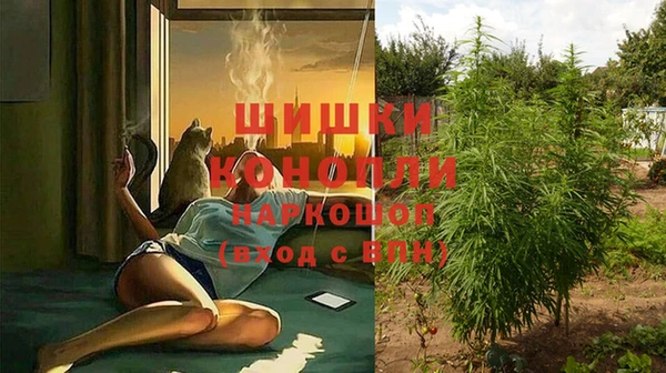 молекула духа Гусь-Хрустальный