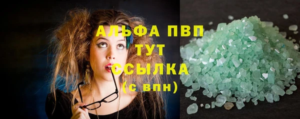 спиды Гусев