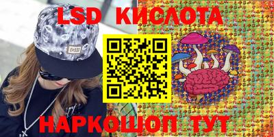 spice Краснознаменск