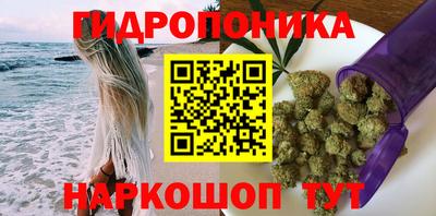 спиды Донской