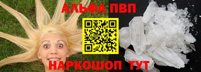 спиды Донской