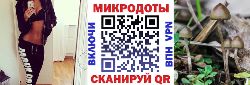 hydra как зайти  где найти наркотики  Славянск-на-Кубани  Псилоцибиновые грибы ЛСД 
