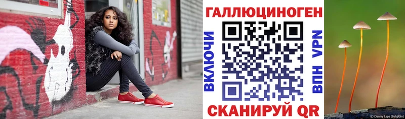 Псилоцибиновые грибы Psilocybe Славянск-на-Кубани