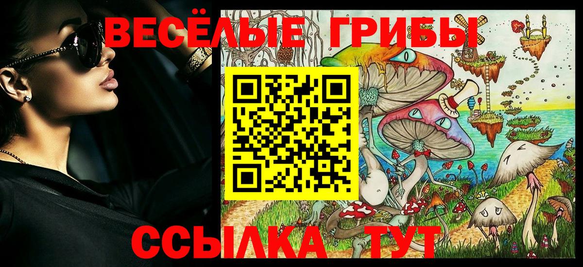 наркота  Псилоцибиновые грибы Cubensis  Славянск-на-Кубани  Галлюциногенные грибы ЛСД 