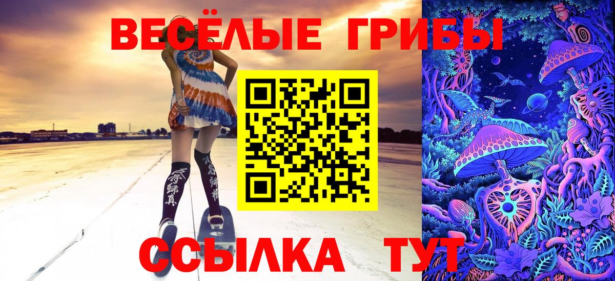 Славянск-на-Кубани  Псилоцибиновые грибы Magic Shrooms  Вход с VPN 