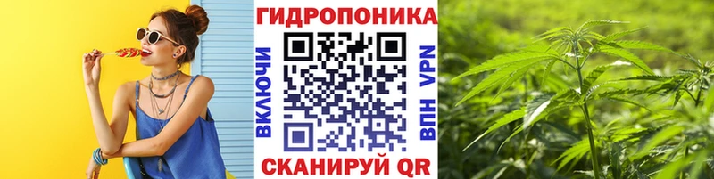Канабис White Widow  даркнет сайт  Славянск-на-Кубани 